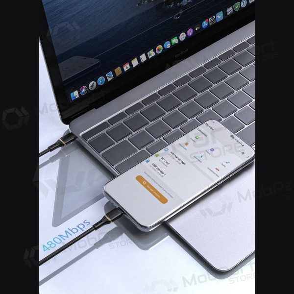 USB-C kabel Dudao L25C USB-C naar USB-C 1 m 60 W zwart