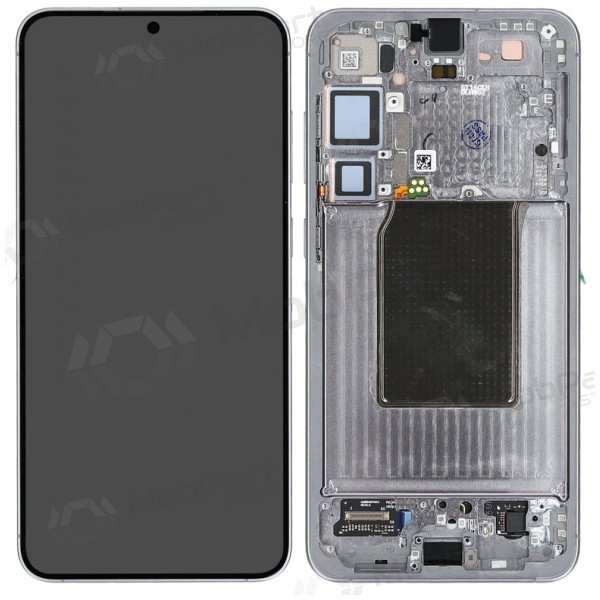 Samsung Galaxy S25+ scherm (zilver) (met frame) (assembled service pack)