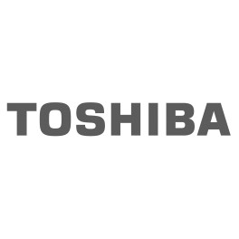 TOSHIBA laptop accu's